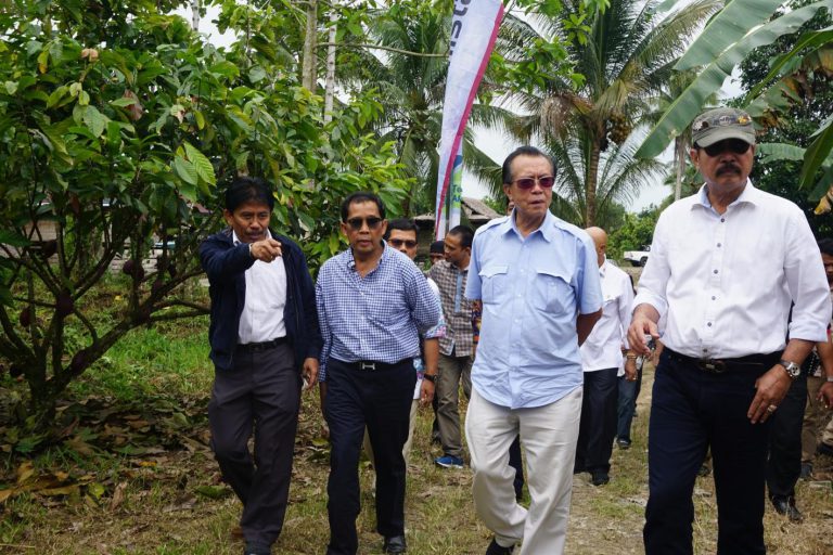 Mr. Jan Darmadi Visited Cocoa Plantation in North Luwu District - Dewan ...